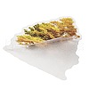 100Pcs Story of Four Seasons PET Stickers Self-Adhesive Stickers DIY-K074-06C-4