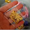 Star Plastic Glitter Powder Fillers PW-WG35273-02-1