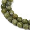 Natural TaiWan Jade Beads Strands G-K310-A23-10mm-01-4