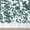 MIYUKI Delica Beads X-SEED-J020-DB0276-4