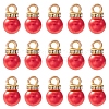 ABS Plastic Charms KY-YW0001-24C-1