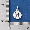 925 Sterling Silver Constellations Charms STER-M118-01D-3