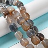 Natural Agate Beads Strands G-H295-A01-09-2