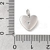 925 Sterling Silver Micro Pave Clear Cubic Zirconia Charms STER-V001-01P-03-3