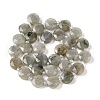 Natural Labradorite Bead Strands G-C116-A10-01-3