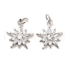 Rack Plating Brass Micro Pave Cubic Zirconia Pendants KK-K270-18P-4