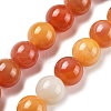 Natural Multi-Color Agate Beads Strands G-A261-B08-14mm-2