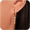 Teardrop Brass Micro Pave Clear Cubic Zirconia Hoop Earrings FS-WGBF553-01-1
