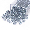 2-Hole Seed Beads GLAA-R159A-48035-1