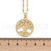 Brass Pave Full Cubic Zirconia Tree Of Life Pendant Necklaces NJEW-D309-01G-B-3