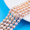 Natural Cultured Freshwater Pearl Beads Strands PEAR-N012-06H-5