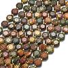 Natural Picasso Jasper/Polychrome Jasper Beads Strands G-C116-A118-01-2