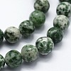 Natural Green Spot Jasper Beads Strands G-I199-30-4mm-3