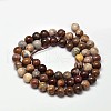 Natural Petrified Wood Round Bead Strands G-F266-08-6mm-2