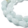 Natural Amazonite Beads Strands G-P520-B10-01-4