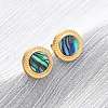 304 Stainless Steel Natural Paua Shell Stud Earrings EJEW-Z103-04G-01-1