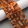 Dyed Natural Carnelian Chip Beads Strands G-E271-105-2