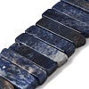 Natural Sodalite Beads Strands G-S386-D19-2