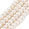 Natural Cultured Freshwater Pearl Beads Strands PEAR-C003-28-2