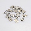 Tarnish Resistant Mixed 304 Stainless Steel Charms Pendants STAS-N025-03-1