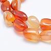 Natural Carnelian Beads Strands G-K203-29A-3
