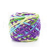 Polyester Wool Chunky Yarn YCOR-PW0001-004A-34-1