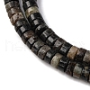 Natural Biotite Beads Strands G-L624-I12-3x6mm-4