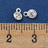 925 Sterling Silver Charms STER-C008-08A-S-3