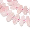 Natural Rose Quartz Double Terminated Point Beads Strands G-H069-B17-01-4
