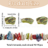 SUNNYCLUE 187Pcs Nuggets Chips Natural Shell Beads BSHE-SC0001-15-2