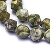Natural Rhyolite Jasper Beads Strands G-L552O-01-10mm-3