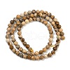 Natural Picture Jasper Beads Strands G-P572-B03-4mm-3