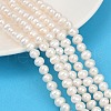 Natural Cultured Freshwater Pearl Beads Strands PEAR-I007-07Y-10A-1