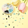 60G 6 Styles Natural & Synthetic  Gemstone Beads Chips G-FS0005-80-8