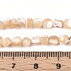 Natural Trochid Shell/Trochus Shell Beads Strands SSHEL-N040-11-4
