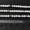 Natural Rainbow Moonstone Beads Strands G-RM2025-A15-3mm-5