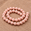 Polished Round Grade A Shell Pearl Bead Strands BSHE-M027-6mm-10-2