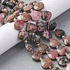 Natural Rhodonite Beads Strands G-P570-E03-02-1