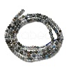 Natural Apatite Beads Strands G-RM2025-A23-2mm-3