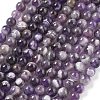 Natural Amethyst Beads Strands G-M445-8MM-01E-1