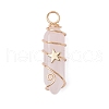2Pcs 2 Styles Natural Amethyst/Green Aventurine/Rose Quartz/Lapis Lazuli/Quartz Crystal Double Terminated Pointed Pendants PALLOY-JF03122-4