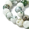 Natural Tree Agate Beads Strands G-K194-8mm-02-5