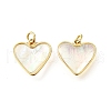 Natural White Shell & Epoxy Resin Charms KK-E794-02G-06-1