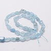 Natural Aquamarine Chip Bead Strands X-G-M298-20-2