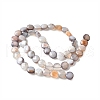 Natural Grey Botswana Agate Beads Strands G-C179-A50-03-3