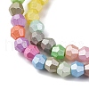 Handmade Lampwork Beads Strands LAMP-R020-02-4