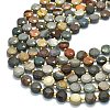 Natural Ocean Jasper Beads Strands G-C116-A137-01-3