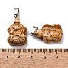 Natural Picture Jasper Pendants G-B127-06P-08-4