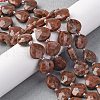 Natural Plum Blossom Jasper Beads Strands G-P570-E02-02-1