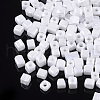 6/0 Glass Seed Beads SEED-S026-03A-01-1